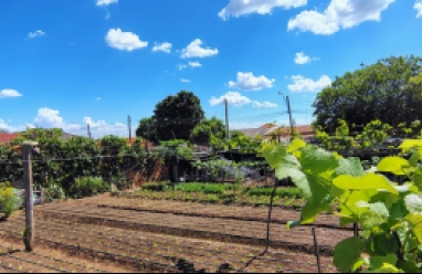 Terreno para locação em Avaré